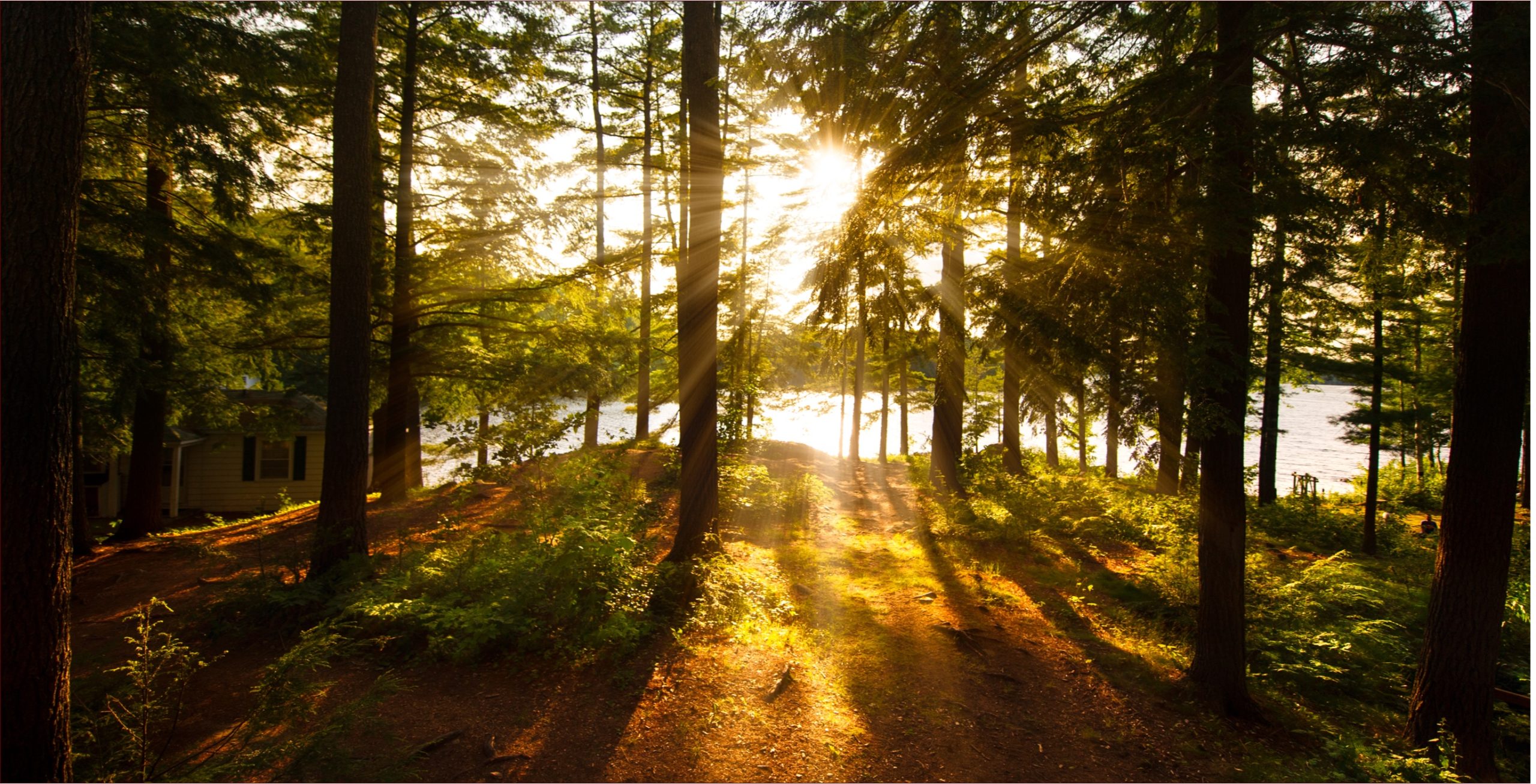 Retreats Programs Dimensions Retreats programs dimensions